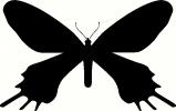 Butterfly (14) vinyl decal